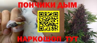 прущие грибы Можга