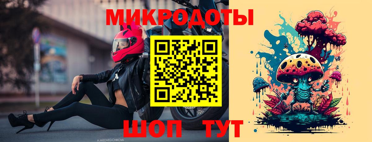 Галлюциногенные грибы Psilocybe Шебекино