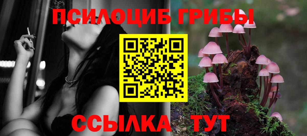 Шебекино  наркотики  Вход с VPN  Псилоцибиновые грибы Magic Shrooms 